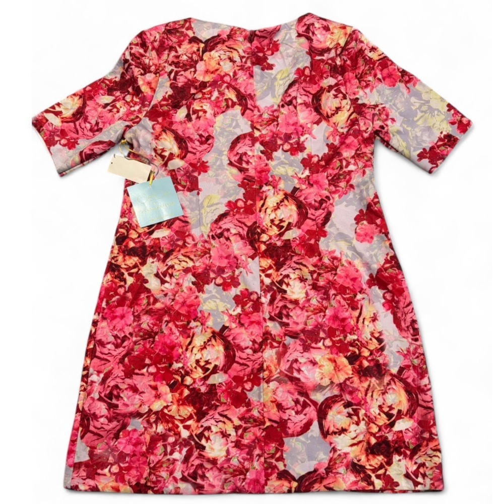 Cynthia Steffe Red Pink A-Line Dress Crew Neck Cap Sleeve